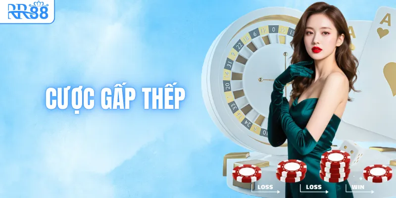 Cược Gấp Thếp & Sự Thật Về “Bí Kíp” Săn Thưởng Tại RR88